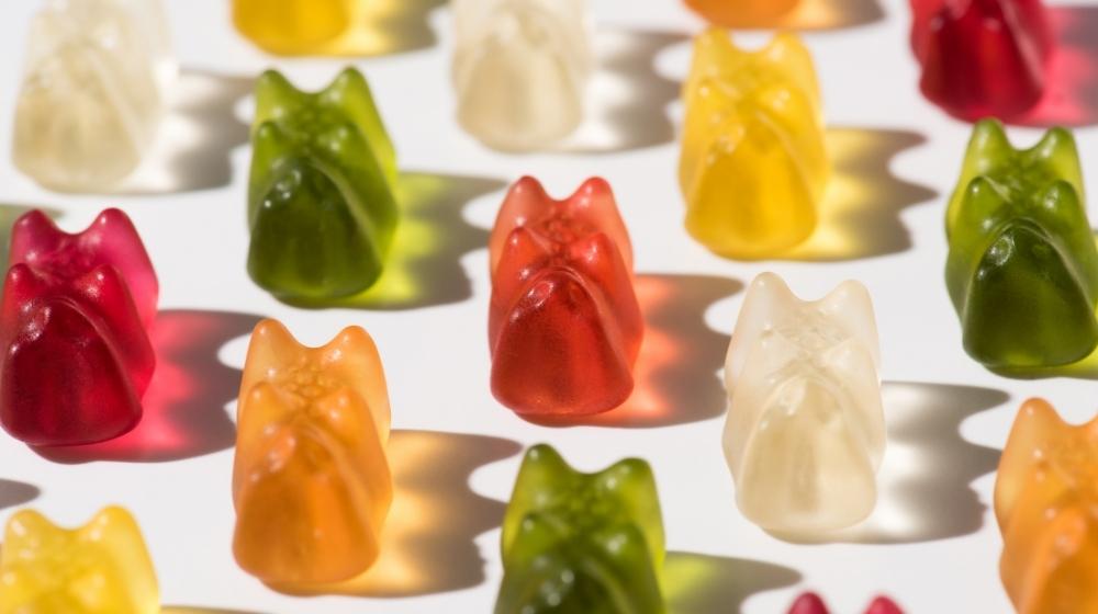 Best Nib Gummy Bear Maker for sale in Richmond, Virginia for 2023